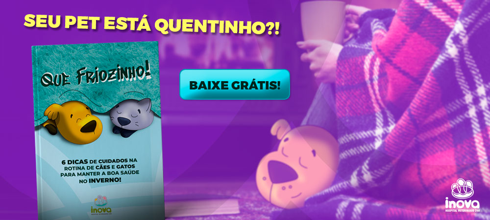 Baixe nosso Ebook com 6 dicas de cuidados na rotina de cães e gatos Guia completo sobre castração de gatos