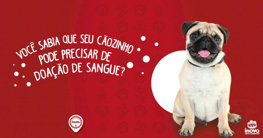 Avaliacao-cardiaca-pre-cirurgica-entenda-a-sua-importancia-1