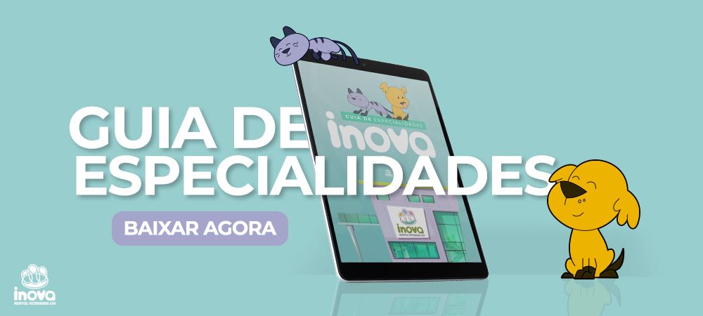 Guia de especialidades Baixar agora