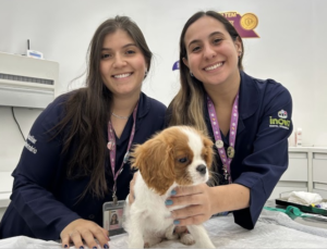 Cardiologia veterinária: sinais de que seu pet pode precisar de avaliação