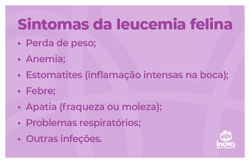 Sintomas da leucemia felina
Perda de peso;
Anemia; 
Estomatites (inflamação intensas na boca);
Febre;
Apatia (fraqueza ou moleza);
Problemas respiratórios;
Outras infeções. 
