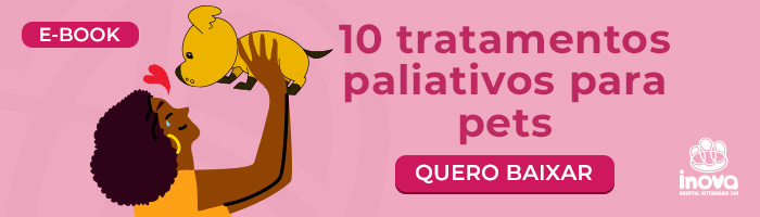 10 tratamentos paliativos para pets Quero baixar