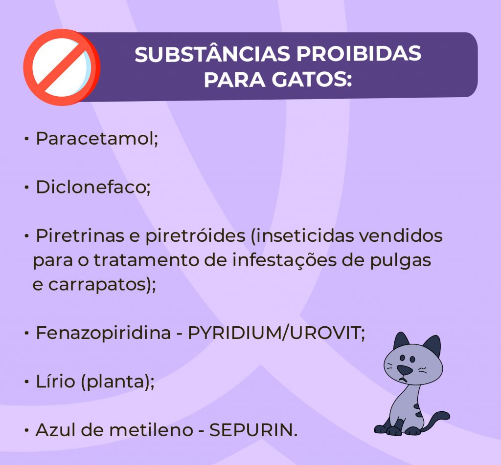 Apesar do uso da dipirona para gatos ser permitido, outras substâncias podem ser letais para os felinos. Confira algumas:
Paracetamol;
Diclofenaco;
Piretrinas e piretróides (inseticidas vendidos para o tratamento de infestações de pulgas e carrapatos em cães);
Fenazopiridina - PYRIDIUM/UROVIT; 
Lírio (planta);
Azul de metileno - SEPURIN.
