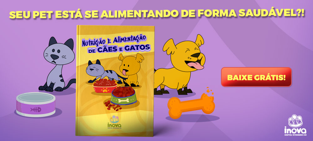 Você sabe quais os petiscos podem ser ofertados aos pets e quais são alimentos proibidos para eles? ﻿ Baixe nosso material e entenda o que você pode dar para o seu pet comer, por que cães e gatos tem necessidades nutricionais diferentes e outras informações muito importantes para a saúde do seu animalzinho.