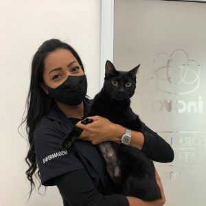 A toxoplasmose é uma doença causada pelo parasita Toxoplasma gondii. Mas você sabe porque ela ganhou a fama e ficou conhecida como doença do gato? Leia o texto e confira tudo sobre o assunto! O QUE É A DOENÇA DO GATO: TOXOPLASMOSE A doença do gato, que recebe o nome de Toxoplasmose, ainda gera muitas dúvidas nos tutores. Trata-se de uma doença infecciosa, causada pelo parasita Toxoplasma gondii. Ela não é contagiosa, e na maioria dos casos é contraída via oral, comum na ingestão de carnes cruas ou mal passadas contaminadas, verduras, legumes e frutas mal lavadas, além de água contaminada. COMO É A DOENÇA DO GATO E O QUE CAUSA DOENÇA DO GATO? A toxoplasmose ganhou o nome da doença do gato pois os felinos são os únicos hospedeiros definitivos dos parasitas, isso é, o ciclo reprodutivo do Toxoplasma gondii se completa no intestino dos gatos infectados e eles, por sua vez, eliminam ovos (oocistos) em suas fezes. Porém, engana-se quem pensa que todos os gatos possuem a doença. Apenas uma parcela pequena, em especial aqueles que têm acesso à rua, podem acabar contraindo, ao ingerir alguma carne contaminada – como por exemplo de uma ave. Por isso, evitar que seu amiguinho dê as famosas “voltinhas” e realizar a castração de gatos são grandes aliados no controle da doença. Doença do gato: sintomas no felino No geral, o gato portador da toxoplasmose não apresenta sintomas, mas pode acontecer de ocasionar febre, fraqueza e até mesmo anorexia. Por isso, é importante ficar atento e, ao qualquer sinal de desconfiança, levar o seu amiguinho ao veterinário o quanto antes. DOENÇA DO GATO EM HUMANOS: O GATO NÃO É O GRANDE CULPADO! Infelizmente, a toxoplasmose ainda é motivo de muitos abandonos de diversos gatinhos por parte dos seus tutores, que não possuem informações corretas sobre como se pega a doença do gato (toxoplasmose). Isso porque, apesar de ser uma “doença das fezes do gato”, eles não são os grandes transmissores do parasita! Saiba as principais causas da doença: Doença do gato em humanos: o gato não é o grande culpado! Infelizmente, a toxoplasmose ainda é motivo de muitos abandonos de diversos gatinhos por parte dos seus tutores, que não possuem informações corretas sobre como se pega a doença do gato (toxoplasmose). Isso porque, apesar de ser uma “doença das fezes do gato”, eles não são os grandes transmissores do parasita! Saiba as principais causas da doença: Ingestão de carnes cruas ou mal passadas que contêm cistos do parasita; Consumo de água não filtrada; Frutas e verduras cruas mal lavadas, que contêm o cisto; Manipulação de alimentos ou utensílios de cozinha contaminados com o cisto; Transmissão de mãe para o feto durante a gestação; Fazer jardinagem sem luvas. Aliás, é muito importante lembrar que o felino não transmite continuamente o parasita. Após ser contaminado, ele eliminará em suas fezes os cistos após 5 dias ou uma semana, apenas uma vez em toda sua vida. Entendeu agora porque os gatos não são os grandes vilões da doença do gato em pessoas? Esse é até um termo que não deveria ser usado. Aliás, é muito importante lembrar que o felino não transmite continuamente o parasita. Após ser contaminado, ele eliminará em suas fezes os cistos após 5 dias ou uma semana, apenas uma vez em toda sua vida. Entendeu agora porque os gatos não são os grandes vilões da doença do gato em pessoas? Esse é até um termo que não deveria ser usado. Doença do gato tem cura? Felizmente, diagnosticada a doença por um médico veterinário, existe sim a possibilidade de tratamento e cura. Porém, a medicação não deve ser realizada sem recomendação médica, como por exemplo, dar dipirona para gatos. Geralmente, são receitados antibióticos, além de exames e acompanhamento veterinário. É importante não oferecer carne crua ao seu pet, dando a ele somente ração ou refeições prescritas, além de mantê-lo dentro de casa. SINTOMAS DA DOENÇA DO GATO EM HUMANOS Nos humanos, a toxoplasmose também pode ser assintomática. Porém, por ser uma doença viral, pode ocasionar sintomas como febre, fraqueza, dor no corpo e cabeça. Entretanto, se a pessoa estiver com o sistema imunológico baixo, a doença pode ser agravar, atingindo o cérebro, coração, fígado, dentre outros órgãos. Fique atento e diante de qualquer sintoma procure um médico. DOENÇA DO GATO NA GRAVIDEZ: CONFIRA MITOS E VERDADES SOBRE A TOXOPLASMOSE Existem alguns mitos que rondam esse assunto, principalmente a respeito da doença do gato em grávida, é assim que as pessoas associam a toxoplasmose durante a gestação. Confira alguns mitos e verdades que trouxemos para você se informar: A toxoplasmose só é transmitida pelos felinos: mito! Como já dissemos, os gatos não são os principais causadores dessa doença. É muito mais provável que a pessoa se contamine ao ingerir carnes cruas ou mal passadas com o cisto, por exemplo. Gestante pode passar a toxoplasmose para o bebê: verdade! A transmissão pode ocorrer de mãe para o feto durante a gestação. Mulheres devem se afastar do seu gatinho durante a gestação: mito! Não é necessário se afastar do seu pet nesse período. Para evitar contaminação, é indicado que outro membro da família limpe sua caixinha de areia. Caso não seja possível, use luvas e pazinha para limpar as fezes do pet, além de higienizar as mãos após terminar. A toxoplasmose é transmitida por arranhões de gato: mito! A toxoplasmose não é transmitida por arranhões de gato. A doença da arranhadura do gato é causada pela bactéria Bartonella henselae. Preciso fazer checkups anuais em meu gatinho para garantir que está tudo bem: verdade! Existem diversas outras doenças que podem afetar o seu amiguinho, como a leucemia felina (FELV), doença do gato no olho (toxoplasmose ocular) e a doença do pêlo do gato (esporotricose). Por isso, é muito importante realizar visitas periódicas ao veterinário para garantir que está tudo bem com o seu pet. Assim, você garante que a sua saúde e a dele fique em dia! Aqui na Inova possuímos veterinários especializados no cuidado de felinos, assim como em outras especialidades. Venha nos conhecer!