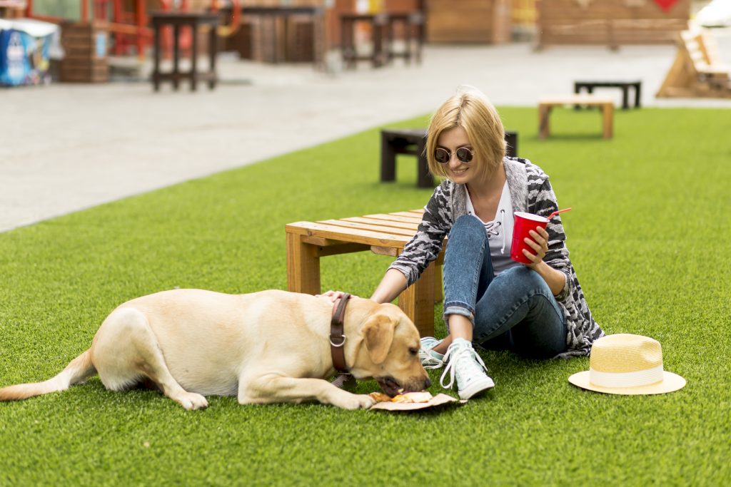 Quem concorda com a expressão que o cachorro é o melhor amigo do homem, deve adorar conhecer lugares onde os pets são bem-vindos! Apelidados de pet friendly, trouxemos alguns exemplos de locais onde eles podem frequentar, com dicas de estabelecimentos oferecidos pela Cãomigo. Confira! O que é pet friendly? Antes de começarmos nosso guia pet friendly, muitas pessoas ainda se perguntam - o que significa pet friendly? O termo, ao pé da letra, vem sendo usado para designar locais onde os pets são bem-vindos. E isso não significa locais onde eles podem apenas entrar ou transitar, mas sim lugares que estão realmente preparados para eles, por exemplo, com potinhos para eles beberem água e até mesmo cardápios com comidas específicas para eles. Uma pesquisa do Serviço de Proteção ao Consumidor (SPC Brasil) revelou que 61% dos brasileiros veem seus animais de estimação como parte da família, e nada melhor do que saber que eles estarão confortáveis e amparados ao saírem, não é mesmo? Aliás, aqui vai outro dado importante: em 2020, de acordo com o levantamento da Euromonitor International, o Brasil se tornou o segundo maior mercado de produtos pet, com 6,4% de participação global, perdendo apenas para os Estados Unidos. Ou seja, é um mercado que só tem a crescer! Porém, é fundamental destacar que, por mais que seja delicioso ter o nosso amiguinho ao nosso lado em todos os momentos, nem todos os locais são adequados para eles, já que eles costumam ser mais sensíveis a barulhos e lugares muito movimentados, podendo deixá-los estressados, ao invés de diverti-los. Vale se atentar a isso! Como ser pet friendly? Os espaços pet friendly geralmente contam com alguns pontos em comum, como os listados abaixo: Potinhos com água e comida; Saquinhos de lixo para recolher as necessidades do pet; Panos de limpeza e desinfetantes; Caminhas para descanso. É importante se atentar à lei municipal de São Paulo, de número 10.309, que diz que é proibida a permanência ou entrada de pets em locais onde se preparem, manipulem, fabriquem ou vendam produtos alimentícios. Por isso, caso o estabelecimento seja do ramo alimentício, geralmente são reservados alguns espaços específicos para os pets, em áreas arejadas. Ademais, detalhes como a vacina para cachorro também devem ser levados em consideração e devem estar em dia, afinal você não quer que seu amiguinho acabe contraindo alguma doença ao passear, não é? Lugares pet friendly: quais são? Hoje em dia, existe uma infinidade de lugares que são pet friendly, espalhados pelo Brasil e pelo mundo. Se você vai viajar, por exemplo, vale dar uma pesquisada no seu local de destino e procurar, antecipadamente, algum espaço pet friendly para vocês visitarem! Trouxemos algumas dicas de como escolher uma pousada pet friendly ideal. Pet friendly: hoteis O primeiro ponto a se atentar é a hospedagem, que deve permitir pets. Hoje em dia, existe pousada pet friendly, hotel fazenda pet friendly, chalé pet friendly e até mesmo resort pet friendly! Opções são o que não faltam! Conheça 5 famosos no Brasil: Pousada Pé na Terra (Brotas-SP): aceita pets de todos os tamanhos, possui uma ampla área verde e uma área cercada onde os cães podem correr e brincar. Na cidade existem diversas opções de passeios, trilhas e aventuras para curtir com seu cachorro. Link: https://www.caomigo.com.br/post/auventura-em-brotas Pousada Pegada da Onça (Tapiraí-SP): a pousada possui uma trilha que leva até a cachoeira, uma ampla área de mata, lago com pedalinho, piscina de água natural, e o melhor, seu pet pode te acompanhar em todos os lugares, até mesmo dentro do restaurante, e curtir o lago e a piscina. Os funcionários são muito atenciosos e carinhosos com os pets. Link: https://www.caomigo.com.br/post/pousada-pegada-da-onca Hotel Villa Rossa (São Roque - SP): são aceitos pets de todos os tamanhos. O hotel possui trilha na mata e os lofts possuem piscina privativa. Os pets são recebidos com kit boas-vindas, com caminha e brinquedo. Hotel Fazenda Chalés da Serra (Bom Jardim da Serra - SC): um hotel fazenda com chalés incríveis e muita área verde, onde os pets de todos os tamanhos são bem-vindos. O local possui um cão anfitrião, o Jimmy, um pastor alemão maravilhoso, que recebe todos os hóspedes com muito carinho. Link: https://diariodoturismo.com.br/tem-hotel-fazenda-pet-friendly-na-serra-catarinense/ Restaurantes pet friendly A boa notícia se você está em busca de um restaurante pet friendly, é que também existem vários espalhados pelo Brasil. Olha só: Esquina do Fuad (São Paulo - SP): se você busca um lugar descontraído, com comidas de “boteco”, a Esquina do Fuad pode agradar você e seu pet, que pode ficar contigo na área externa. Esse bar pet friendly tem petiscos para os cães e também potinhos de água. Pracinha do Seu Justino (São Paulo - SP): este restaurante conta com um cardápio especial para cães e gatos, com ingredientes que eles podem consumir. Alessandro e Frederico Café (Rio de Janeiro - RJ): se você está ou vai para o Rio de Janeiro, essa é uma ótima pedida. Localizado em Ipanema, o deck é coberto, e o espaço aceita todos os portes de pet, contando com banquinhos com almofadas na calçada para você e seu amiguinho sentarem. Santa Crema Café (Sorocaba - SP): se você é de Sorocaba ou vai a passeio, e está procurando por um café pet friendly, que tal visitar o Santa Crema? Eles contam com cafés especiais, doces, salgados e muito mais! Ah, e não se esqueça de visitar a Inova em sua passagem, ein? Oca Burger (Sorocaba - SP): Essa hamburgueria é conhecida pelos seus smash burgers, e conta com espaços abertos e amplos, perfeitos para seu pet te acompanhar. Le Pain Quotidien (São Paulo - SP): procurando uma padaria pet friendly? Lá, eles são conhecidos por adorarem receber os cães, e todos que chegam ganham um potinho com água! Villa di Phoenix (Campos do Jordão - SP): Campos do Jordão é conhecida por ser um destino bastante pet friendly! Esse restaurante badalado, por exemplo, serve de tudo um pouco. A varanda é coberta, e todos os portes de pet são bem recebidos. Shopping pet friendly A quantidade de shoppings que são pet friendly, hoje, é gigantesca! Em São Paulo, podemos citar, entre muitos, o Shopping Morumbi, Shopping Center Norte, Shopping Eldorado, Maxi Shopping Jundiaí e Shopping Sorocaba. Já em Minas Gerais, temos como exemplo o Minas Shopping e o BH Shopping. Se você está em terras cariocas, o Village Mall e o Botafogo Praia Shopping são ótimas pedidas. De qualquer forma, antes de ir até o local, vale dar uma olhada no site do shopping e procurar a informação se ele é pet friendly! Nossa dica é que seu amiguinho esteja sempre com os check-ups e as vacinas em dia, já que em alguns casos o pet transmite doenças ou pode até mesmo contrair alguma doença. Entre em contato conosco e agende uma visita. Assim, você e seu pet estarão sempre preparados para passear por aí! Leia também: obesidade canina