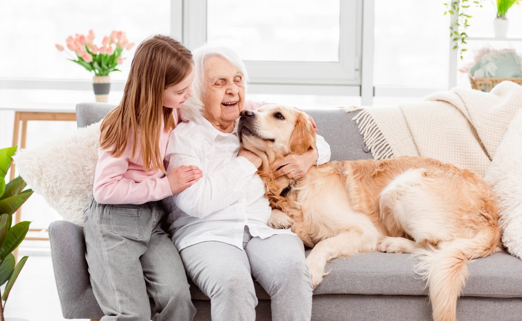 Seu pet chegou à terceira idade e se tornou um cachorro idoso? Confira algumas dicas importantes para melhorar a qualidade de vida do seu amiguinho nessa fase da vida! Com quantos anos um cachorro se torna idoso? A gente sabe: aos olhos dos tutores, os cãezinhos serão eternos bebês! Porém, a terceira idade também chega para os cães, e é importante ficar atento a isso, pois cuidados especiais serão necessários para garantir a qualidade de vida e mais anos ao seu pet. O que muita gente não sabe é quando um cão se torna idoso. A verdade é que seu amiguinho já atinge a terceira idade a partir dos 7 anos de vida. Porém, existem alguns sinais comuns que o seu amiguinho chegou a idade sênior: Alterações na pele (calos na patinha e pelos esbranquiçados); Problemas urinários (podendo fazer xixi fora do local correto por conta disso); Aumento ou perda de peso; Aparecimento de tártaro; Tumores (relativamente comum em cães de mais idade); Alteração no olfato; Perda gradativa da audição e visão (paciente cegos devem passar por avaliação oftalmológica); Cansaço; Artrose e osteoporose, causando dificuldade de locomoção, dentre outros sinais. De qualquer maneira, um médico veterinário de confiança saberá identificar a chegada da terceira idade no seu amiguinho por meio de check-ups e exames periódicos, além dos cuidados especiais que o tutor deve atribuir a sua vida e a de seu pet nessa etapa. Como cuidar de cachorro idoso: saiba como se preparar É provável que o seu cachorrinho tenha sido seu companheiro durante toda a vida. Por isso, nada mais justo e honroso do que proporcionar a ele o melhor que você pode oferecer em termos de cuidados, carinho e companheirismo. Assim como nós, a terceira idade dos pets demanda cuidados especiais, já que o sistema físico e imunológico já não é mais o mesmo, ficando mais suscetíveis a doenças e problemas de saúde, como cachorro com febre e cachorro com tosse, por exemplo. E sabemos também que de acordo com a raça alguns problemas podem ser mais comuns, como nas articulações. Os pelos também costumam mudar, tornando-se brancos e mais opacos - sim, eles também ficam grisalhos! Além disso, muitos apresentam dificuldade de locomoção, sendo comum vermos um cachorro idoso com dificuldade de andar, além de deficiência na visão e audição. E se você está procurando dicas sobre como cuidar do seu pet idoso, saiba que está no lugar certo, já que trouxemos algumas delas para você: 1- Ração para cachorro idoso - a alimentação tem que mudar! Com a mudança da idade, a digestão fica mais lenta e a absorção dos nutrientes pode ser mais difícil. Logo, a alimentação deve mudar também. Por isso, é fundamental que a comida para o seu cachorro idoso seja prescrita com a orientação de um veterinário da área, que saberá quais as necessidades do pet e analisará se não existem questões que podem surgir com a idade, como o cachorro idoso emagrecendo por conta de problemas dentários que são muito comuns nessa fase, podendo prescrever uma ração para cachorro idoso mais macia e orientando uma consulta com um veterinário especializado em odontologia. 2- O uso de vitaminas pode ser necessário A vitamina para cachorro idoso costuma ser indicada quando a ração não é suficiente para fornecer os nutrientes necessários ao pet, sendo necessário suplementar. Mais uma vez reforçamos a importância de manter os exames do seu amiguinho em dia, já que é por meio deles que é possível identificar problemas como esse. 3- Não esqueça dos exercícios físicos É comum ouvirmos relatos de tutores dizendo que seu cachorro idoso dorme muito! rs Mas não é por esse motivo que você deve se esquecer das brincadeiras e atividades físicas do seu pet. Seja uma caminhada ou brincar com a bolinha, eles são fundamentais para manter seu amiguinho ativo e prevenir problemas como obesidade canina, que também pode aparecer nos idosos. 4- Cuide da higiene do seu amiguinho Os banhos devem continuar! E para garantir o melhor conforto ao seu pet, opte por fazer isso em dias com a temperatura mais amena. Quanto à higiene bucal, é importante, mais do que nunca, evitar o acúmulo de tártaro, que em casos graves podem culminar na queda dos dentes e dificultar a alimentação. A limpeza da orelha também é importante, evitando doenças como a otite em cães. O ideal é fazer a limpeza uma vez por semana, com produtos específicos indicados pelo médico veterinário, sempre com a ajuda de um algodão ou gaze e nunca com um cotonete, já que isso pode machucar seu pet. 5- Invista em utensílios que vão ajudar o dia a dia do seu pet Existem diversos utensílios que podem melhorar o dia a dia do seu pet com a chegada da terceira idade, principalmente para aqueles que possuem problemas de locomoção: Meia antiderrapante para cachorro idoso; Fralda para cachorro idoso; Tapete antiderrapante, dentre muitos outros! Enfim, vale conversar com o veterinário responsável para entender o que pode ser indicado para melhorar a qualidade de vida do seu amiguinho nessa etapa! A avaliação será bem personalizada pois vai depender das condições gerais de saúde do seu pet, assim como a raça, que também vai influenciar. 6- Faça check-ups periódicos e mantenha a vacinação em dia Essa é uma das dicas mais importantes: mantenha a saúde do seu amiguinho em dia! Para isso, check- ups de 6 em 6 meses podem ser necessários, além de exames complementares e de manter a carteirinha de vacinação em dia. Isso é crucial para manter o bem-estar do seu amiguinho e garantir mais anos de vida com qualidade pela frente! Check-up para cachorro idoso Pensando em oferecer facilidade para os tutores e saúde para o seu cão idoso, a Inova desenvolveu um Programa de Medicina Veterinária Preventiva, chamado Inova Vida +7, com um check-up especialmente desenhado para cães a partir de 7 anos. É um check-up completo com todos os exames necessários para esse momento mais as vacinas indicadas. Confira: 1 Consulta com Clínico Geral (2 retornos inclusos - se necessário) 1 Exame Perfil Endócrino (que inclui além do hemograma, bioquímicos renais, hepáticos e o colesterol e triglicérides usado para triar doenças endócrinas); 1 Exame de urina 1 Ecocardiograma 1 Eletrocardiograma 1 Radiografia de tórax 1 Ultrassom abdominal 2 Vacinas: V10; Raiva.