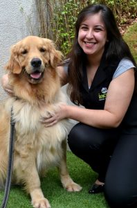 Verme em cachorro é um dos problemas mais comuns no dia a dia dos consultórios veterinários. Certamente, quem tem pet, já deve ter ouvido falar no assunto. Porém, sabe quais são os sintomas de verme em cachorro e de quanto em quanto tempo o vermífugo para cachorro deve ser aplicado? Continue lendo esse texto e entenda muito mais! VERME EM CACHORRO: O QUE É? Como o nome já diz, a doença se trata de um quadro de verminose nos pets. Por isso, os tutores de pets devem seguir um calendário correto, indicado pelo veterinário, para vermifugar os cães corretamente. Mas, mesmo diante do uso de um remédio de verme para cachorro, o problema pode acabar ocorrendo quando os cães frequentam locais com muitos animais, como praças e parques, por exemplo. Além disso, o problema pode ocorrer independentemente da idade do pet, então, os casos de verme em filhotes também são comuns. VERME DE CACHORRO EM HUMANOS: É POSSÍVEL? Verme de cachorro pega em humano? A resposta é sim! O verme de cachorro em pessoas realmente pode acontecer, mas não são todos os tipos que são transmissíveis aos humanos. Alguns cuidados básicos com a higiene, como lavar bem as mãos após o contato com os pets, podem ser suficientes para que o problema não ocorra. Além disso, o consumo de carnes mal cozidas e água não filtrada podem causar vermes também, como a Toxoplasmose. Tipos de vermes em cachorros Os vermes em cachorro podem ser divididos em alguns tipos. Conheça: Vermes intestinais em cachorro Os vermes que afetam o intestino dos cães são muito comuns e alguns podem ser transmitidos para os seres humanos. Entre os tipos estão: vermes chatos ou cestódeos; vermes redondos ou nematódeos (transmissível aos seres humanos); vermes ganchudos (transmissíveis aos seres humanos) e os vermes chicote. Vermes pulmonares em cachorro Os vermes também podem estar nos pulmões, seja diretamente, ou por meio dos vermes intestinais que acabam ao longo do ciclo indo parar no sistema respiratório. Verme do coração em cachorro Além do intestino e do pulmão, eles também podem se alojar no coração do pet. Um exemplo é a Dirofilaria immitis, transmitida por meio de picadas de mosquito. Vermes oculares em cachorro Por fim, eles também podem acometer a região dos olhos. Um exemplo é a Thelazia, também transmissível aos seres humanos. O QUE CAUSA VERME EM CACHORRO? Agora que você já sabe o que é verme em cachorro e quais os tipos, está na hora de saber mais sobre como os pets são contaminados. Existem diversas maneiras de contágio de vermes pelos pets, e alguns mitos que rondam o assunto, como aquele em que leite dá verme em cachorro, o que não é verdade, apesar de a ingestão do leite não ser recomendado por outras razões. Dentre algumas causas, podemos citar: Ao passear e explorar parques, praças e outros gramados, o seu amiguinho pode acabar pegando algum parasita que vive na grama e na terra do ambiente; Lambidas: se os ovos de verme grudam no pelo do seu pet e ele lambe o local, também pode acabar contraindo algum parasita; Picadas de mosquitos, como no caso do verme do coração (Dirofilaria). O que causa verme em filhote de cachorro? Além das maneiras citadas acima, os vermes também podem ser transmitidos de mãe para filhote, através da placenta ou ao ser amamentado nos primeiros dias de vida do pet. VERME EM CACHORROS: SINTOMAS Você sabe quais os sintomas de verme em cachorro? A verdade é que existem muitos, e até mesmo a tosse em cachorro pode ser verme, quando atinge os pulmões. Conheça alguns sintomas de verme em cachorro: Diarreia; Cachorro com febre; Cachorro com tosse; Diminuição ou perda de apetite; Mudança na textura das fezes; Vômito; Fraqueza; Presença de verme nas fezes e no vômito (estágio mais avançado). Se você notar algum desses sintomas em seu pet, leve-o a um veterinário o mais rápido possível para dar início ao tratamento. COMO TRATAR VERME EM CACHORRO? Somente um veterinário pode orientar a respeito do tratamento para verme em cachorro. Por mais que você queira ajudar, os remédios caseiros para verme em cachorro não são recomendados, pois podem acabar piorando o problema. Um médico veterinário vai realizar exames, como o de verificação de fezes, no caso de verme intestinal, para saber o tipo e como proceder. Geralmente, um remédio de verme para cachorro é indicado. O tipo de medicamento e o tempo de uso será de acordo com o tipo de verme identificado. VERMÍFUGO PARA CÃES: COMO FUNCIONA? O remédio vermífugo para cachorro é responsável por proteger os pets de uma série de doenças que são causadas por vermes. Por isso, o vermífugo para cachorros é essencial! A atuação desse remédio para verme de cachorro pode acontecer de maneira direta, causando a paralisia ou morte do verme e, consequentemente, a sua eliminação; ou interferindo na permanência do verme no local, fazendo-o migrar e ser eliminado pelas células imunológicas. Agende uma consulta! COM QUANTO TEMPO POSSO DAR VERMIFUGO PARA CACHORRO? Para saber de quanto em quanto tempo devem ser administrados vermífugos (remédio para verme em cachorro) é necessário orientação veterinária. De modo geral, pode-se dizer que o tempo varia: entre 3 a 6 meses, ou até mesmo um ano. E com quanto tempo pode dar vermífugo para cachorro filhote? A recomendação é que o remédio de verme para cachorro filhote deve ser administrado entre os primeiros 15 a 30 dias de vida do pet, repetindo a dose de uma a três vezes, com intervalos de 15 dias. Porém, para cuidar da saúde do seu amiguinho e prevenir que qualquer doença o acometa, check ups anuais e visitas de rotina ao veterinário são necessárias, pois somente um profissional saberá aconselhar de melhor maneira sobre o uso de vermífugos para filhotes de cachorro e qual a idade certa para vermifugar o cachorro. VERMÍFUGO DE GATO: PODE DAR PARA CACHORRO? Não pode! Apesar de ambos serem medicamentos para prevenir a contaminação por vermes, o vermífugo de gato não deve ser aplicado em cães, e vice-versa. Existem medicamentos específicos para cada tipo de pet, sendo necessário se atentar quanto a indicação. Também existem medicamentos que podem ser administrados tanto em cães quanto em gatos, por isso fique atento às especificações. QUAL O MELHOR VERMÍFUGO PARA CACHORRO? Se você está procurando qual o melhor vermífugo para cachorro ou o melhor vermífugo para filhotes de cachorro, saiba que, atualmente, existem diversas opções no mercado, de diferentes preços e formas de administração. Por isso, como já falamos por aqui, o remédio para vermifugar cachorro deve ser indicado por um médico veterinário, garantindo melhor eficiência do produto. Precisando de ajuda para cuidar do seu amiguinho? Entre em contato conosco e agende uma consulta!