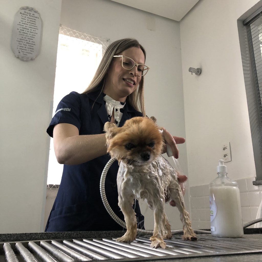 Shampoo para cachorros