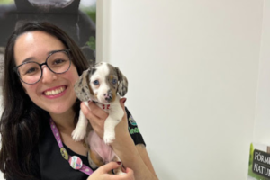 Veterinária da Inova segura filhote de cachorro em ambiente clínico.