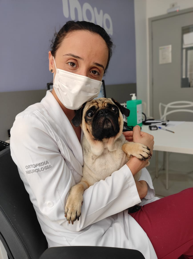 Vacina para cachorro: 5 tópicos que você precisa saber - Inova Veterinária