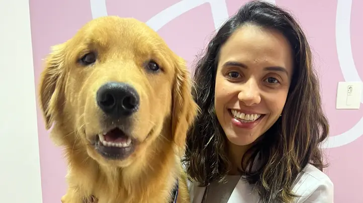 Golden Retriever em consulta com veterinária da Inova Hospital Veterinário 24h em Sorocaba, sobre maca de atendimento, com guia azul, sendo examinado com cuidado e atenção em ambiente clínico.