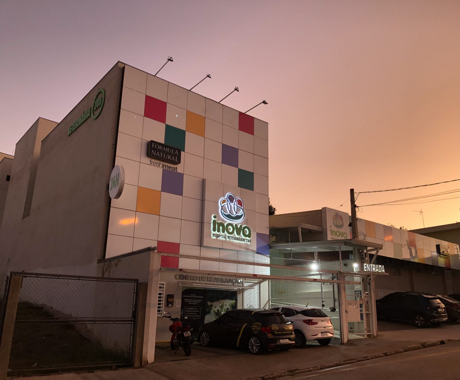 Vacinas para gatos: confira o calendário completo - Inova Veterinária