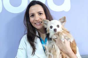 Médica veterinária segurando cachorro de porte pequeno na cor branco e caramel