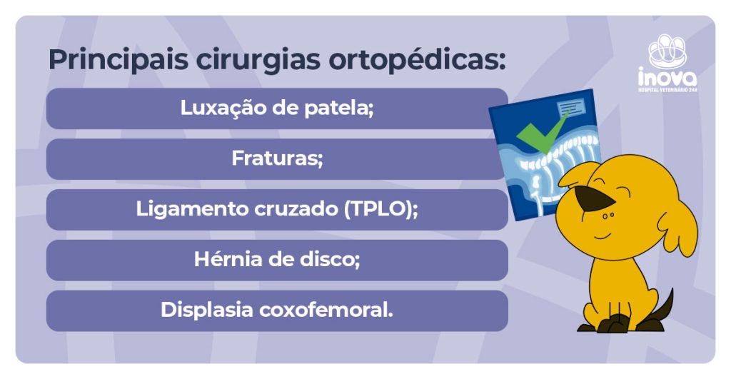 Principais cirurgias:

Luxação de patela;

Fraturas;

Ligamento cruzado (TPLO);

Hérnia de disco;

Displasia coxofemoral.