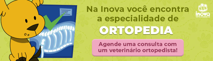Na Inova você encontra a especialidade de ORTOPEDIA. Agende uma consulta com um veterinário ortopedista!
