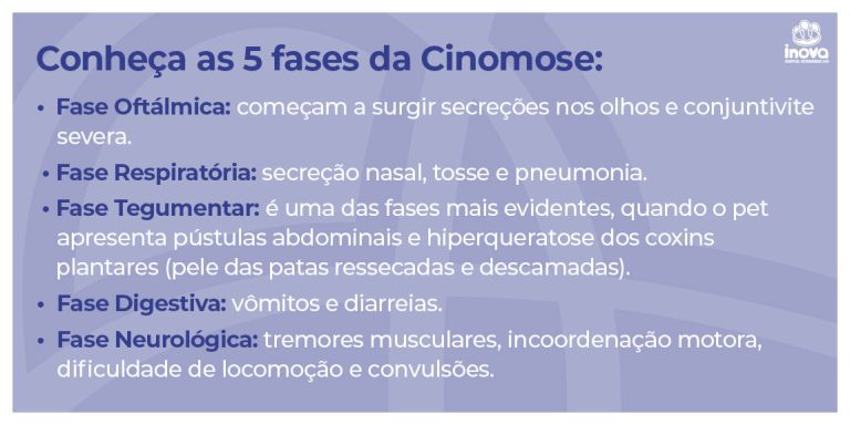 Cinomose canina: entenda essa doença, como prevenir e tratar - Inova ...