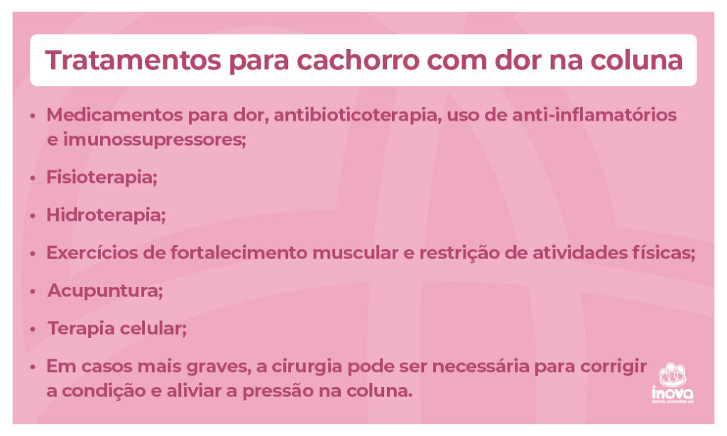 Tratamentos para cachorro com dor na coluna:
Medicamentos para dor, antibioticoterapia, uso de anti-inflamatórios e imunossupressores;
Fisioterapia;
Hidroterapia;
Exercícios de fortalecimento muscular e restrição de atividades físicas;
Acupuntura;
Terapia celular;
Em casos mais graves, a cirurgia pode ser necessária para corrigir a condição e aliviar a pressão na coluna.