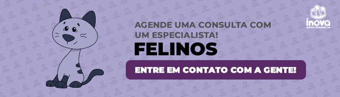 Agende uma consulta com um especialista felinos Entre contato com a gente