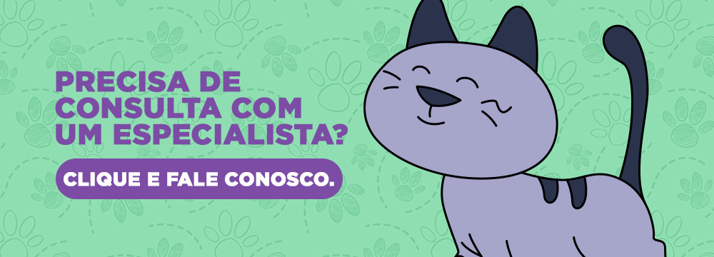 Tirinha do Inova Hospital Veterinário 24h com gato ilustrado e chamada para consulta com especialista.
