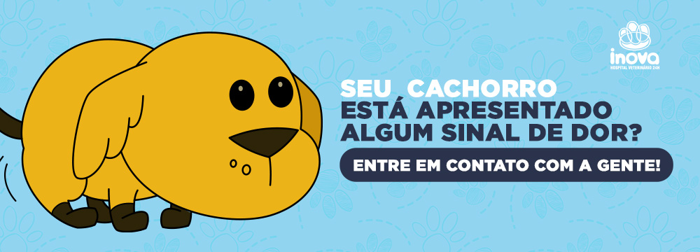 Sinais de desidratação. Banner do Inova Hospital Veterinário 24h com ilustração de cachorro amarelo e chamada “Seu cachorro está apresentando algum sinal de dor? Entre em contato com a gente!”.