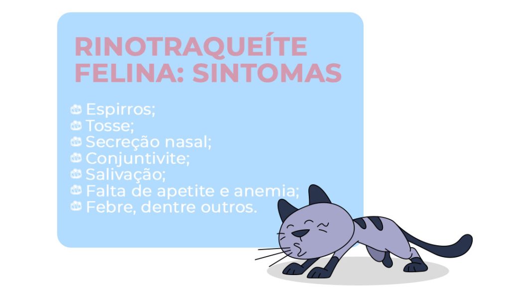 Rinotraqueíte felina: sintomas
Espirros;
Tosse;
Secreção nasal;
Conjuntivite;
Salivação;
Falta de apetite e anemia;
Febre. dentre outros.