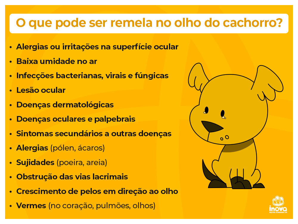 O que pode causar a remela no olho do cachorro?
Alergias ou irritações na superfície ocular
Baixa umidade no ar
Infecções bacterianas, virais e fúngicas
Lesão ocular
Doenças dermatológicas
Doenças oculares e palpebrais
Sintomas secundários a outras doenças
Alergias (pólen, ácaros)
Sujidades (poeira, areia)
Obstrução das vias lacrimais
Crescimento de pelos em direção ao olho
Vermes (no coração, pulmões, olhos)
