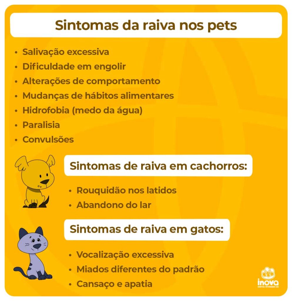 Sintomas da raiva nos pets
1. Salivação excessiva;
2. Dificuldade em engolir;
3. Alterações de comportamento;
4. Mudanças de hábitos alimentares;
5. Hidrofobia (medo da água);
6. Paralisia;
7. Convulsões.
Sintomas de raiva em cachorros:
18. Rouquidão nos latidos;
29. Abandono do lar;
Sintomas de raiva em gatos:
18. Vocalização excessiva;
29. Miados diferentes do padrão;
310. Cansaço e apatia.
