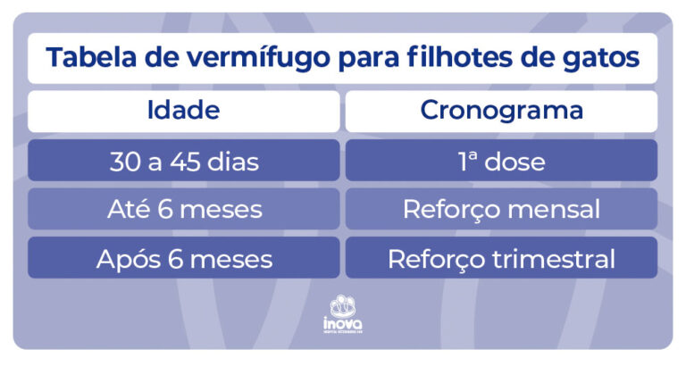Quanto Tempo Dura A Gestação De Um Gato?