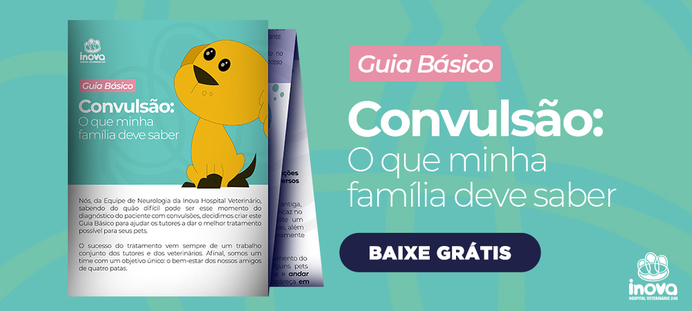 Banner do Inova Hospital Veterinário 24h divulga o guia básico “Convulsão: o que minha família deve saber”, com ilustração de cachorro amarelo e botão “Baixe grátis”.