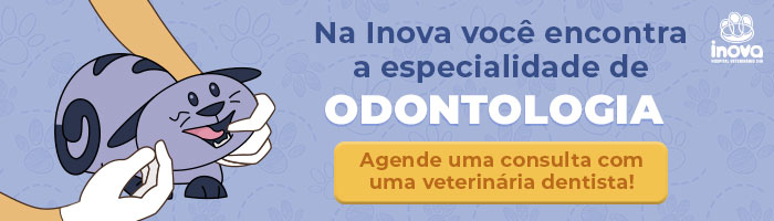 Na Inova você encontra a especialidade de Odontologia
Agende uma consulta com uma veterinária dentista!