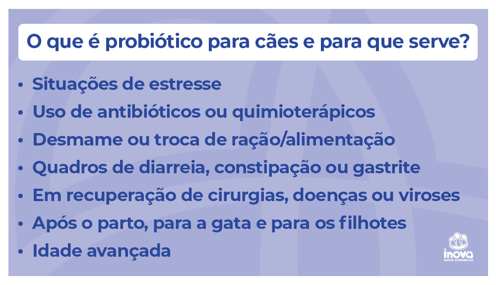 O que é probiótico para cães e para que serve?
Situações de estresse
Uso de antibióticos ou quimioterápicos
Desmame ou troca de ração/alimentação
Quadros de diarreia, constipação ou gastrite
Em recuperação de cirurgias, doenças ou viroses
Após o parto, para a cadela e para os filhotes
Idade avançada
