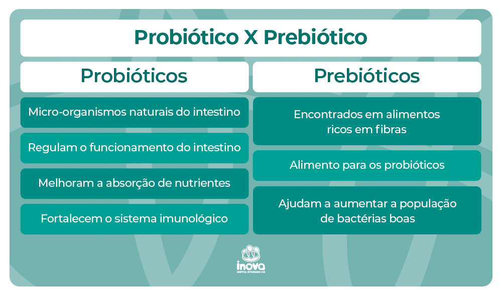  Probiótico X Prebiótico
Probióticos
Micro-organismos naturais do intestino
Regulam o funcionamento do intestino
Melhoram a absorção de nutrientes
Fortalecem o sistema imunológico
Prebióticos
Encontrados em alimentos ricos em fibras
Alimento para os probióticos
Ajudam a aumentar a população de bactérias boas
