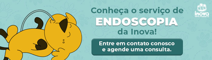 Conheça o serviço de endoscopia da Inova. Entre em contato conosco e agende uma consulta.