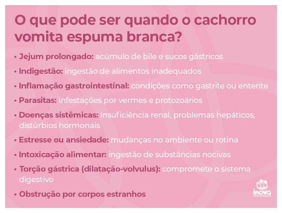 O que pode ser quando o cachorro vomita espuma branca?
Jejum prolongado: acúmulo de bile e sucos gástricos.
Indigestão: ingestão de alimentos inadequados.
Inflamação gastrointestinal: condições como gastrite ou enterite.
Parasitas: infestações por vermes e protozoários.
Doenças sistêmicas: insuficiência renal, problemas hepáticos, distúrbios hormonais.
Estresse ou ansiedade: mudanças no ambiente ou rotina.
Intoxicação alimentar: ingestão de substâncias nocivas.
Torção gástrica (dilatação-volvulus): compromete o sistema digestivo.
Obstrução por corpos estranhos.
