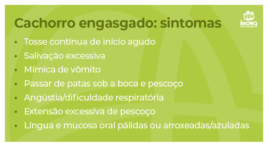 Cachorro engasgado: sintomas 
Tosse contínua de início agudo
Salivação excessiva
Mímica de vômito
Passar de patas sob a boca e pescoço
Angústia/dificuldade respiratória
Extensão excessiva de pescoço
Língua e mucosa oral pálidas ou arroxeadas/azuladas
