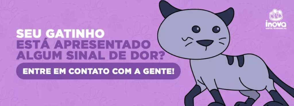 Seu gatinho está apresentando algum sinal de dor? Entre em contato com a gente!