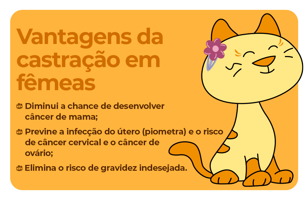 Vantagens da castração em fêmeas Diminui a chance de desenvolver câncer de mama; Previne a infecção do útero (piometra) e o risco de câncer cervical e o câncer de ovário; Elimina o risco de gravidez indesejada.