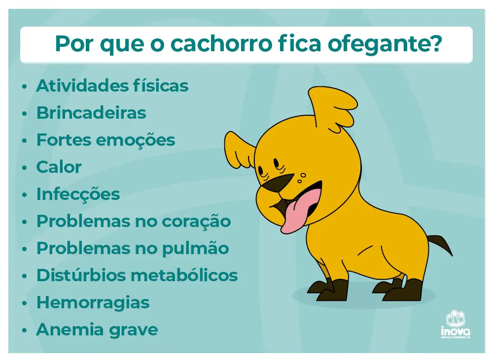 Infográfico da Inova Hospital Veterinário 24h com fundo azul-turquesa listando as causas de cachorro ofegante: atividades físicas, brincadeiras, fortes emoções, calor, infecções, problemas no coração, problemas no pulmão, distúrbios metabólicos, hemorragias e anemia grave, ao lado da ilustração de um cãozinho amarelo com a língua para fora.