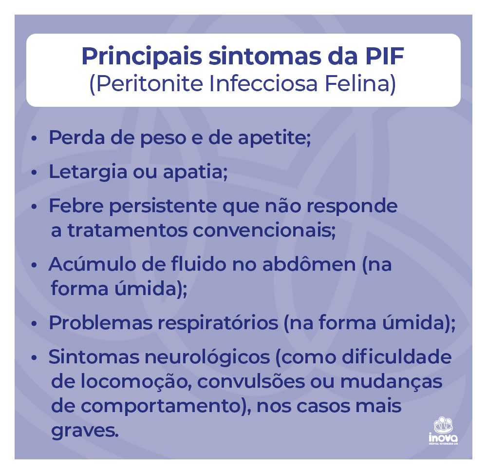 Principais sintomas da PIF (Peritonite Infecciosa Felina) Principais sintomas da PIF (Peritonite Infecciosa Felina)
Perda de peso e de apetite;
Letargia ou apatia;
Febre persistente que não responde a tratamentos convencionais;
Acúmulo de fluido no abdômen (na forma úmida);
Problemas respiratórios (na forma úmida);
Sintomas neurológicos (como dificuldade de locomoção, convulsões ou mudanças de comportamento), nos casos mais graves.
Mostrar menos