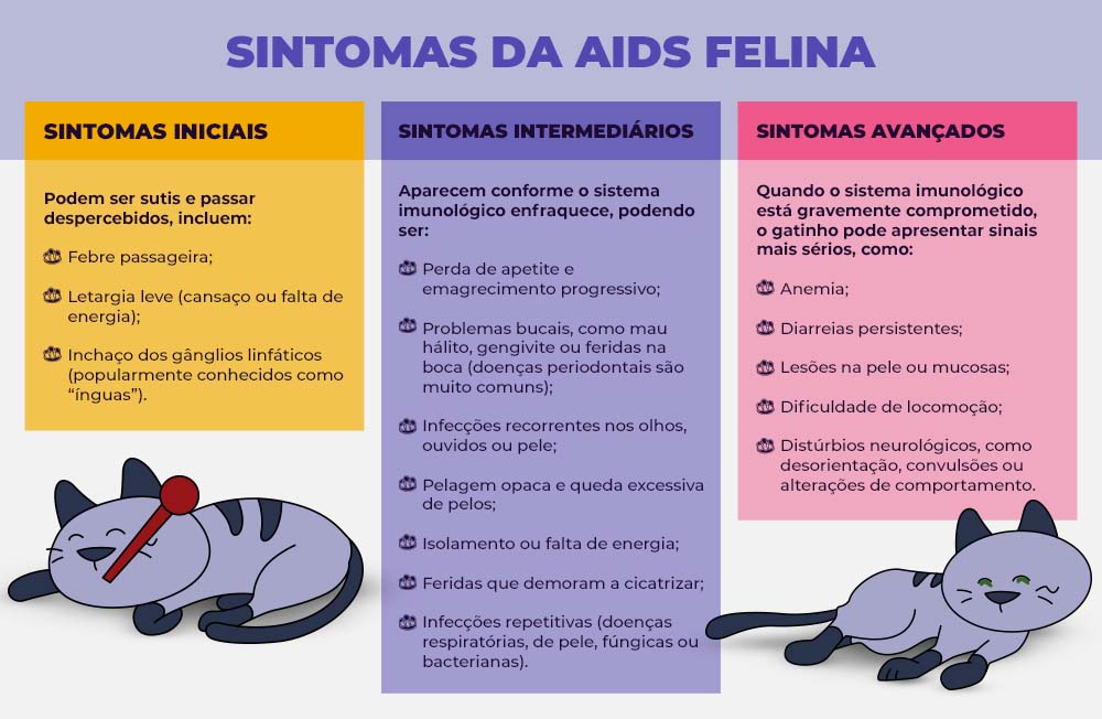 Sintomas da AIDS Felina.