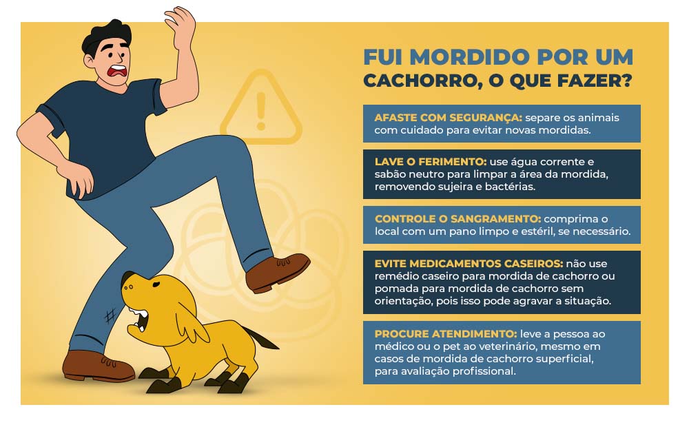 Fui mordido por um cachorro, o que fazer?