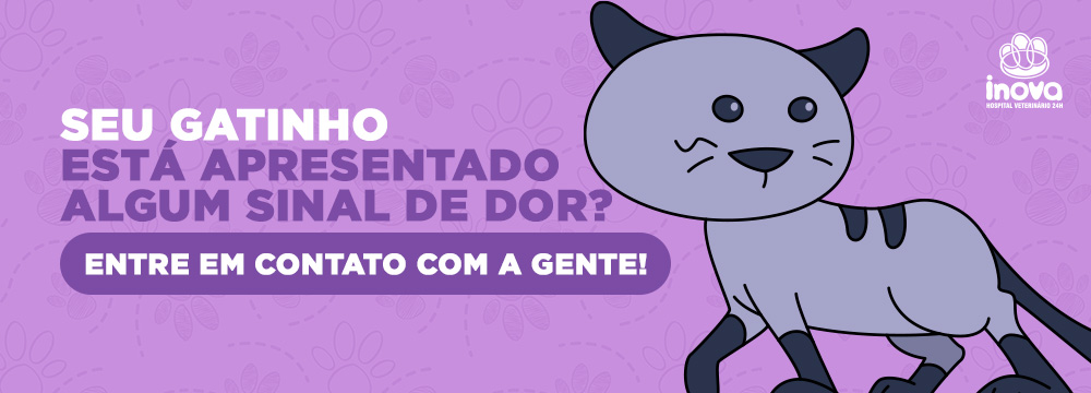 Acompanhamento preventivo Ilustração de gato em estilo cartoon com mensagem sobre sinais de dor em felinos e atendimento veterinário do Inova Hospital Veterinário 24h.