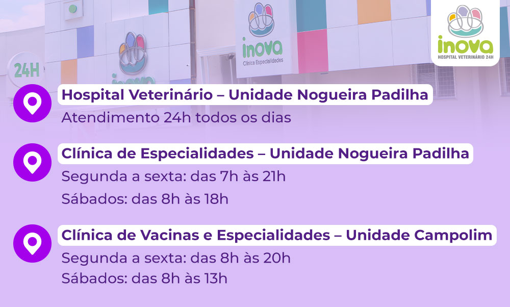 Contamos com três unidades que se complementam para oferecer desde consultas de rotina até casos de alta complexidade