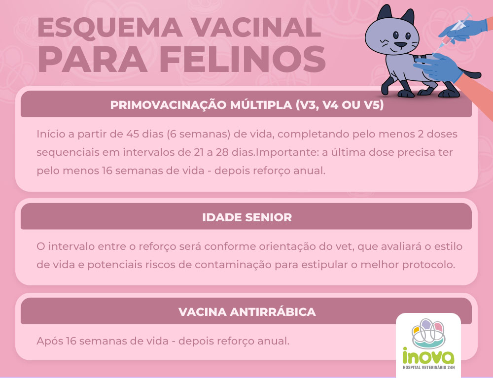 ESQUEMA VACINAL PARA FELINOS CONFORME IDADE
