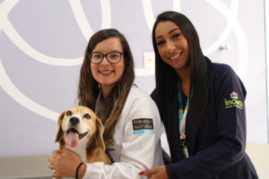 Duas veterinárias da Inova Hospital Veterinário 24h em Sorocaba com cachorro em atendimento clínico.