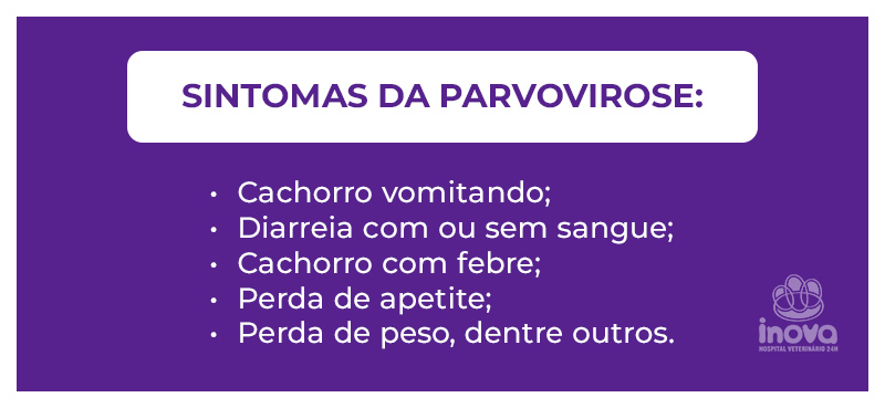 Arte informativa com fundo roxo apresentando os principais sintomas da parvovirose canina: vômito, diarreia com ou sem sangue, febre, perda de apetite e perda de peso, acompanhada do logotipo do Inova Hospital Veterinário 24h.