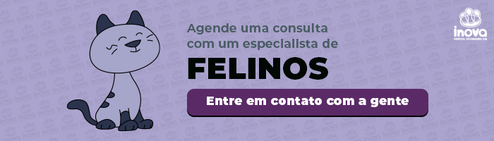 Banner da Inova 24h convidando para consulta com especialista em felinos.