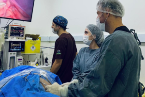 Equipe veterinária do Inova Hospital Veterinário 24h realizando procedimento cirúrgico de castração por videolaparoscopia, com três profissionais paramentados acompanhando a cirurgia em monitor de alta definição na sala cirúrgica equipada.