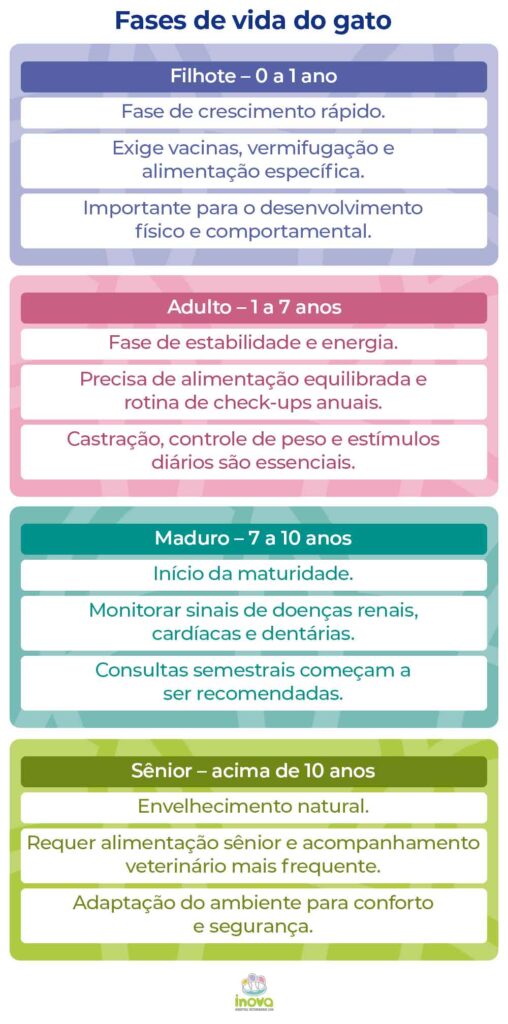 Infográfico com as quatro fases de vida do gato — filhote, adulto, maduro e sênior — com os cuidados veterinários recomendados em cada etapa, produzido pelo Inova Hospital Veterinário 24h.
